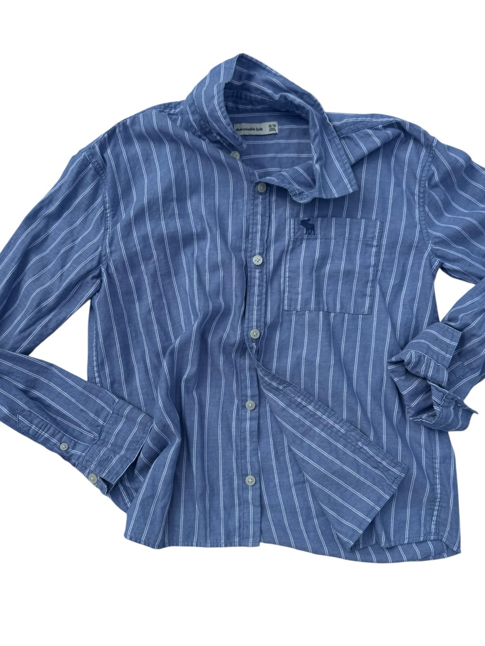 Abercrombie & Fitch Blue Stripe Cotton Blend Button-Down Shirt
